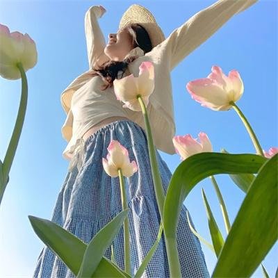 安德森小分队